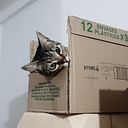 Esteban Rodriguez Lopez