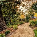 Salva Sánchez Díaz