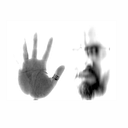 Federico de la Fuente