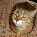 Marcia Antonia Colina Lopez