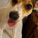 marisafernandezvavrik