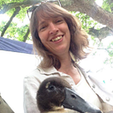 countessbluestocking