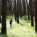 Budsapa Keeratikrainont