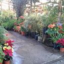 Jardin Las Perdices