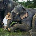 Mary Lynch-Santacaterina