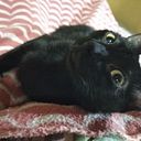 Maria Laura Contrera