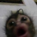 Fabiana Wampa