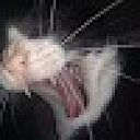 Danilo Fillipi Coutinho