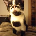 Lo staff di Sig. Presidente