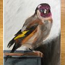 (Geer)trui De Ruytter