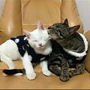 Rosa Ysella Rojas Oguituka