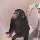 Rafael Munguía Larruz