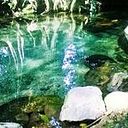 Moises Abi Garcia Garcia