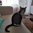 Maite Parrilla Garcia