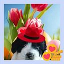 Mari Carmen Mariscal Sarmiento