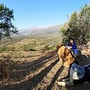 Pablo Menéndez Godoy