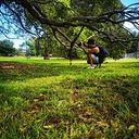 Danny Pavez Gallegos