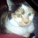 Helen Davies - Beliria