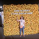 Beatriz Hernández Rodríguez