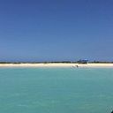 Carmen Celis Arevalo