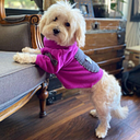 james parkdon parkdon