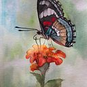 Sylvie Perret Caranton