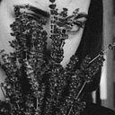 Audronė Murinaitė