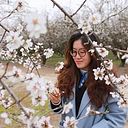 Han Le