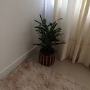 Claudina Rosa De Oliveira