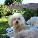 brendaelizabethcampana