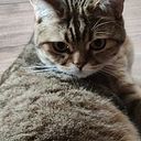 Sasha Y Tatiana Clashofkings