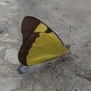 Eilyn Rodríguez Casanova