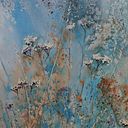 Katarzyna Lewandowska