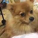 Nuria Rosa Moreno Martínez