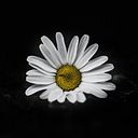 Margarita Dorta Ramírez