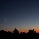 Lina Maria Gutierrez Carbonell