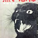 Raúl Romero García