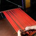 Dora María Callejas