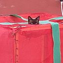 Rommel Bernardo Sánchez Borbolla