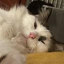 Charley