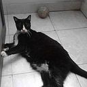 Mery Judith Calderon