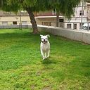 Josep Miquel Moreno Carrillo