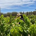 Mena Rábago Aguilar