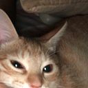 Antonella Labanda Moreira