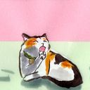 Javiera Rodríguez Barraza