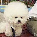 Karin Demeyer-Allouchery