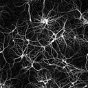 Ramon Gorrotxategi Iparragirre