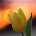 Manuela Reyes Estebanez