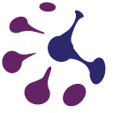 Kindred Technology Group