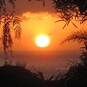 Julio Rodriguez de la Rosa